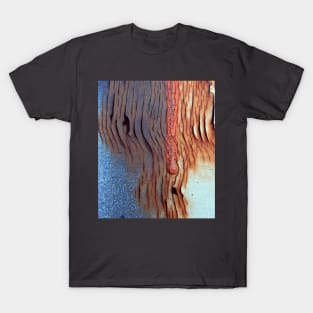 Hooked On Rust T-Shirt